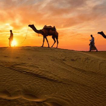 Rajasthan Tours