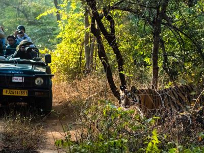7 Days Golden Triangle Tour with Ranthambore Tigers